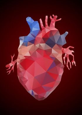 Low Poly Heart Anatomy