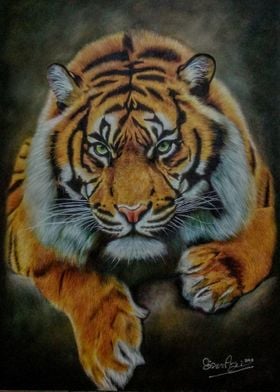 Tiger painting