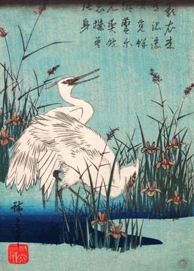 Egret in Iris and Grasses