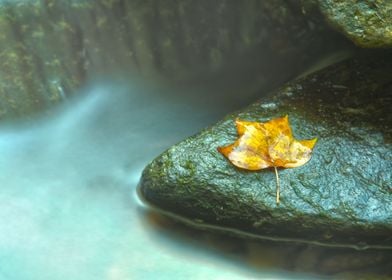 Misty Leaf Waterfall