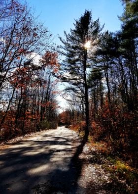 Autumn Dirt Road