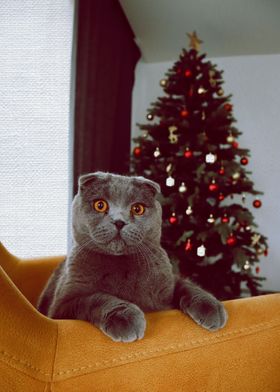 the cat behind tree 