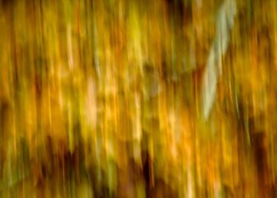 Abstract autumn landscape