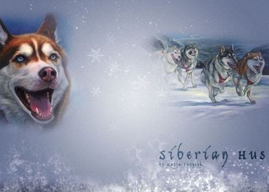  Siberian Husky Dogs Artis