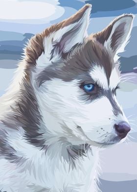 Siberian Husky