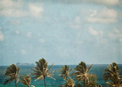 Vintage Hawaii Beach 39