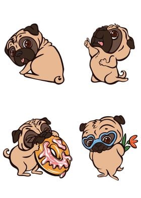 Pug