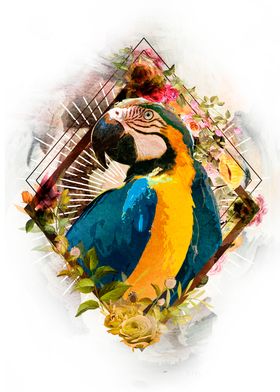 Guacamaya