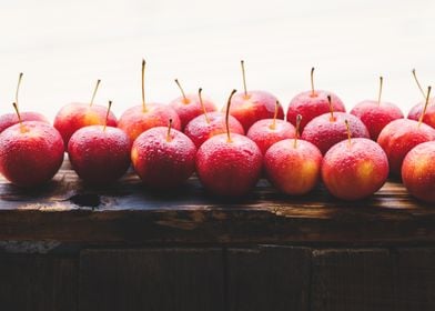 Fresh crabapples 