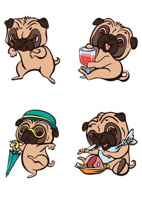 Pug