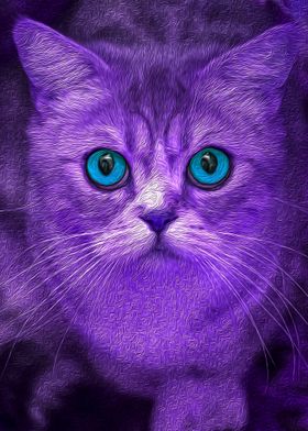 Purple Kitty