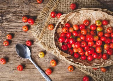 Barbados Cherry