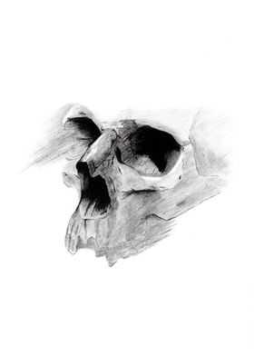 Charcoal Skull