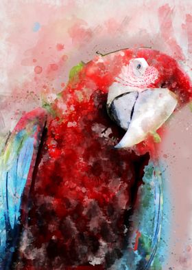 watercolor bird parrot