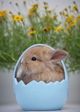 Easter Bunny
