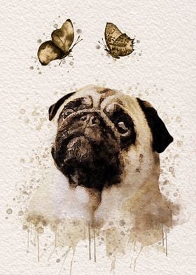 Pug  Butterfly Watercolor