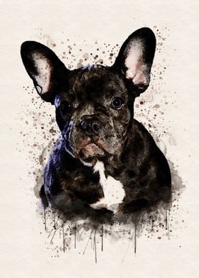 French Bulldog Watercolor