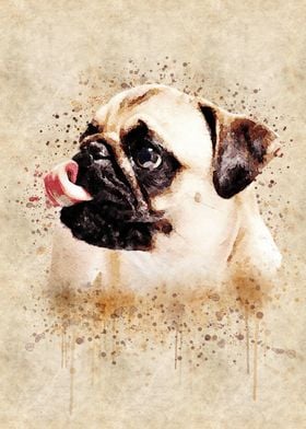 WATERCOLOR PUG HEAD