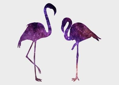 Nebula Flamingo 