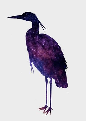 Crane Egret Bird NEBULA 