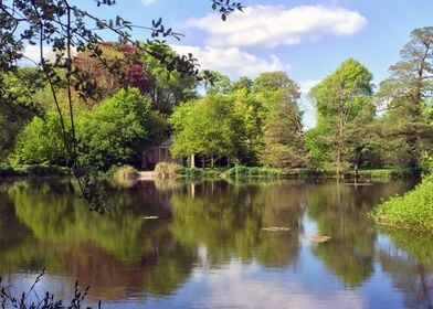 Countryside lake