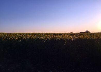 Tractor at sunset