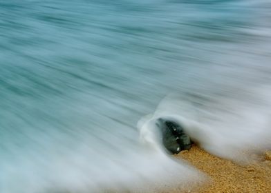 Whelk Seashell and Wave