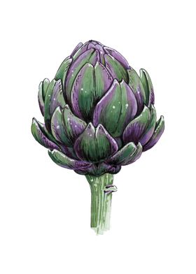 Artichoke