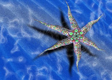 Coloful Starfish in ocean 