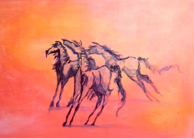 Wild Arabian Horses