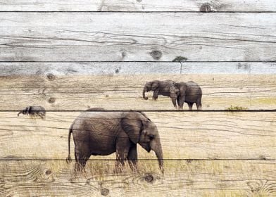 Elephant Art