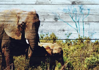 Elephant Art