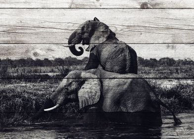 Elephant Art