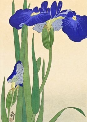 Blue Irises Woodblock Art