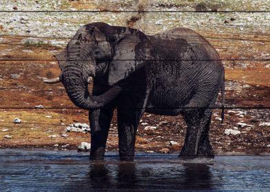 Elephant Art