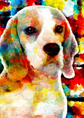 cute colorful beagle