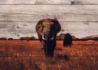 Elephant Art