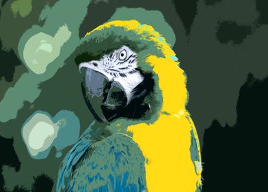 Macaw graphic style