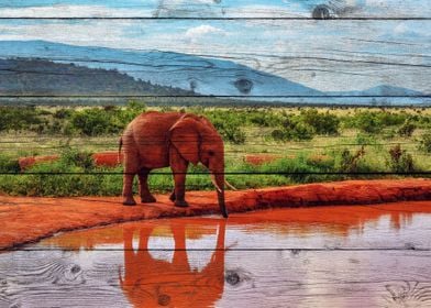 Elephant Art