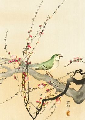 Bird on plum tree woodcut