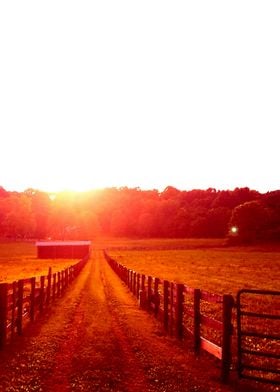 Ranch path and sunshine