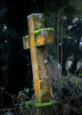 moss covered gravestone