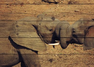 Elephant Art