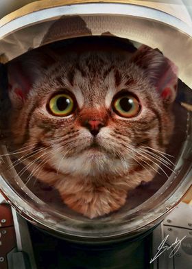 Funny Cat on Mars