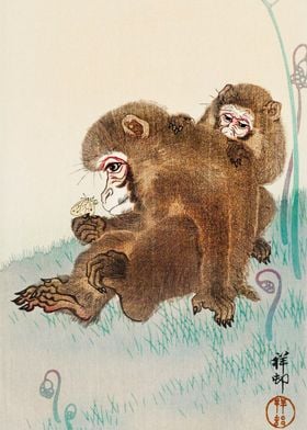 Monkeys and butterfly art