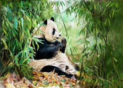 The panda under the bamboo