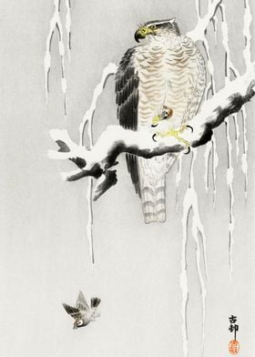 Hawk with its prey woodcut
