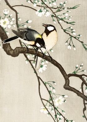 Birds on cherry tree print