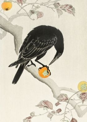 Crow eating persimmon art