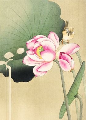 Bird on Lotus Woodblock